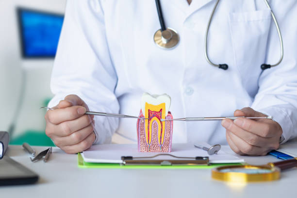 Best Emergency Dental Extractions in Maury, NC